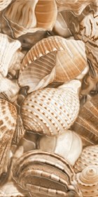 Фото Декор Е11421 Sea Breeze shells 300х600 Фото Декор Е11421 Sea Breeze shells 300х600
