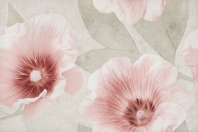 Фото Декор CREAMY FANTASY INSERTO FLOWER 30x45 Фото Декор CREAMY FANTASY INSERTO FLOWER 30x45