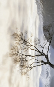 Фото Декор 171331 Wanaka 250х400 бежевый Фото Декор 171331 Wanaka 250х400 бежевый