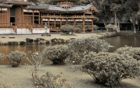 Фото Декор Н71341 Bamboo 250х400 Фото Декор Н71341 Bamboo 250х400