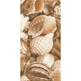Фото Декор Е11421 Sea Breeze shells 300х600