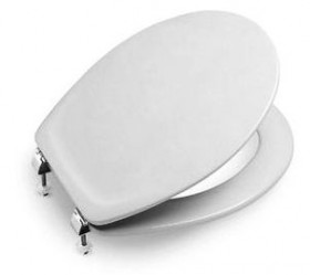 Фото Сидение для унитаза Roca Victoria (Д) (801390)