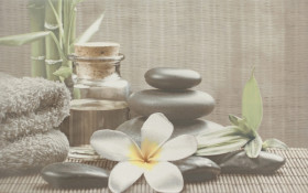 Фото Декор OLIVIA Серый SPA 1 25х40