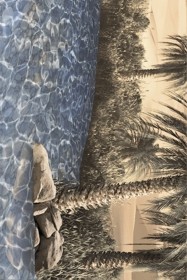 Фото Декор 091361 Luxor 20x30