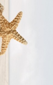 Фото Декор В41331 Summer stone holidey 250х400