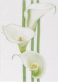 Фото Декор RONA 25х35