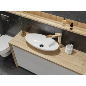 Фото 3 Умывальник Miraggio Nice Глянец Овальный Накладной