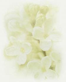 Фото Панно ANDREA Цветок 50х40 (2х)