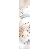 Фото Фриз В61351 Sakura 60х250 вертикальный